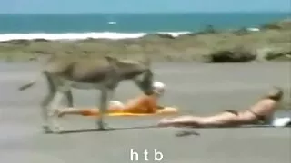Saborosa gata Ella c ...