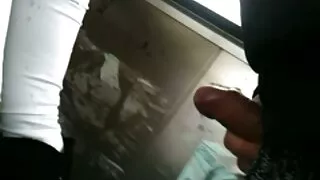 Dois garanhões com t ...