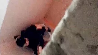 Gata morena pálida d ...
