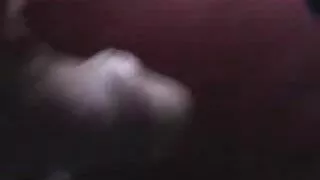 Cadela marrom lúbric ...