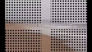 Gostosa bem formada  ...