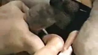 Cadela voraz de cabe ...